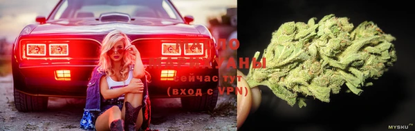прущие грибы Арсеньев