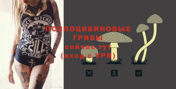 jwh Касимов