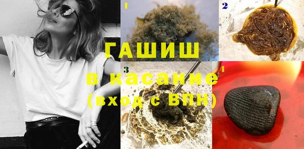 прущие грибы Арсеньев