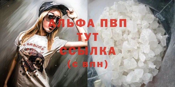 прущие грибы Арсеньев