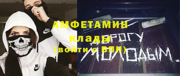 прущие грибы Арсеньев