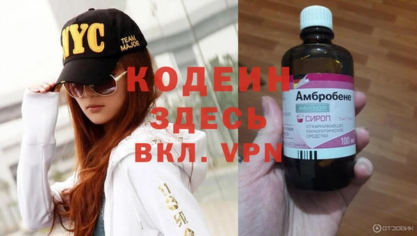 прущие грибы Арсеньев