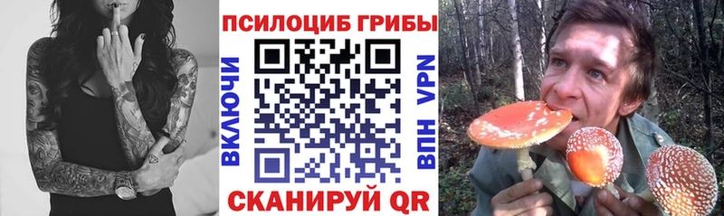 МЕГА ссылка  Байкальск  Псилоцибиновые грибы MAGIC MUSHROOMS 